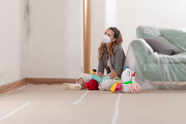 Reliable Mold Remediation contractor in Goldsboro, NC by WQB Mold Removal